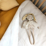 Bone linen with white linen cot quilt